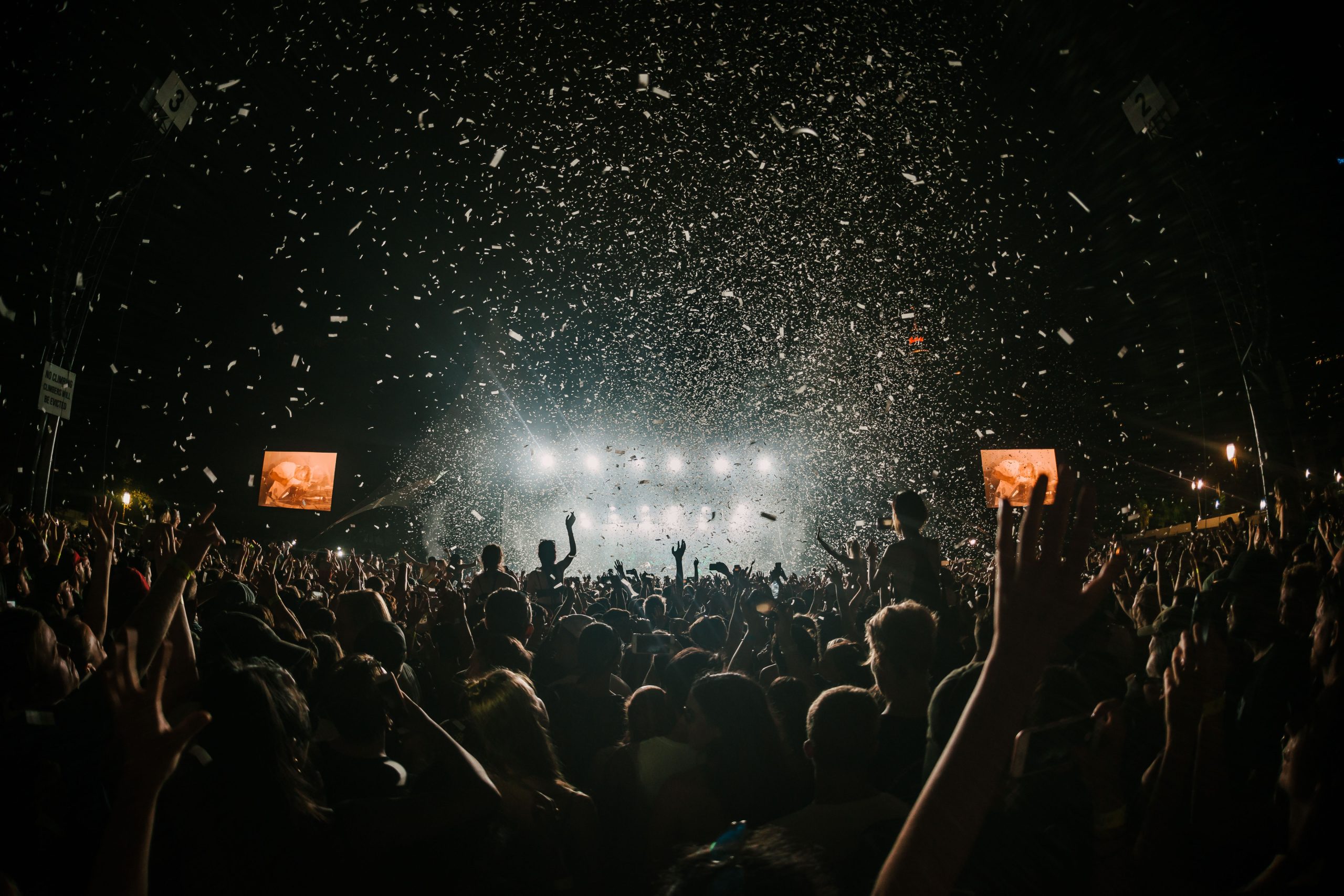 Music festival crowd